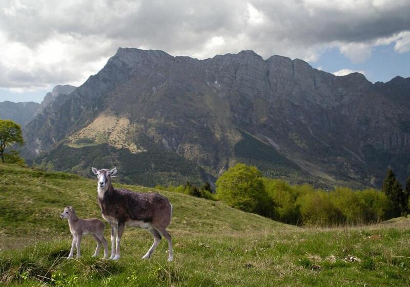 ペンション Affittacamere Nonna Leni