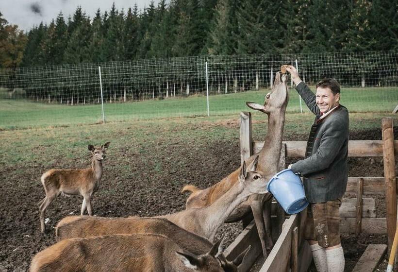 펜션 Berghof Haselsberger