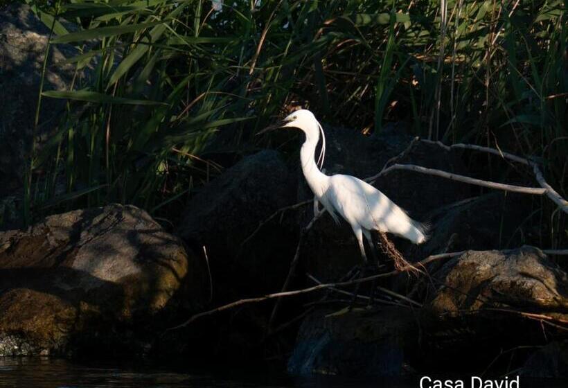 Пансион Casa David
