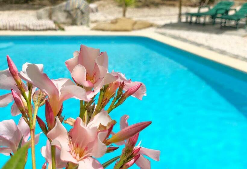 פנסיון Casa Rico Frade Garden