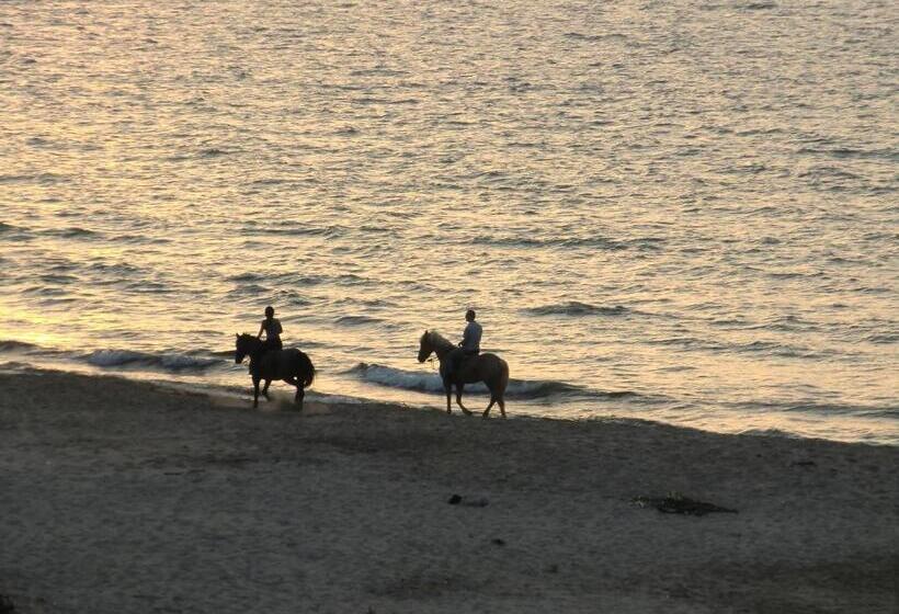 פנסיון Case Vacanze C M Windsurf