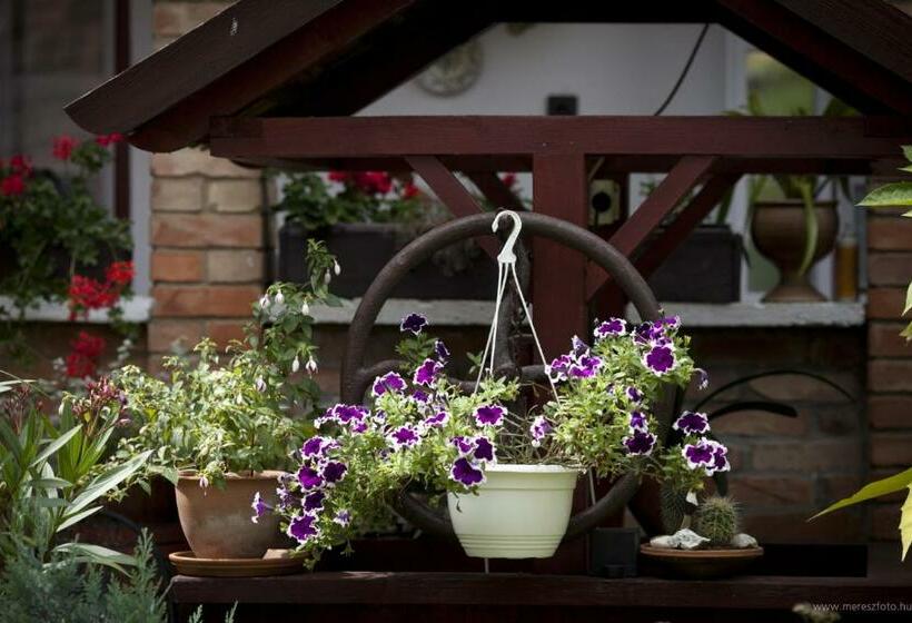 بنسيون ács Kúria