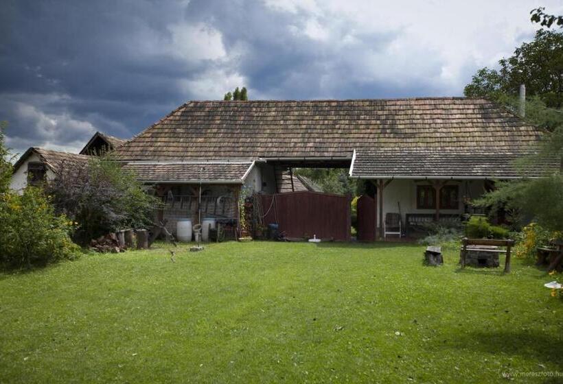 بنسيون ács Kúria