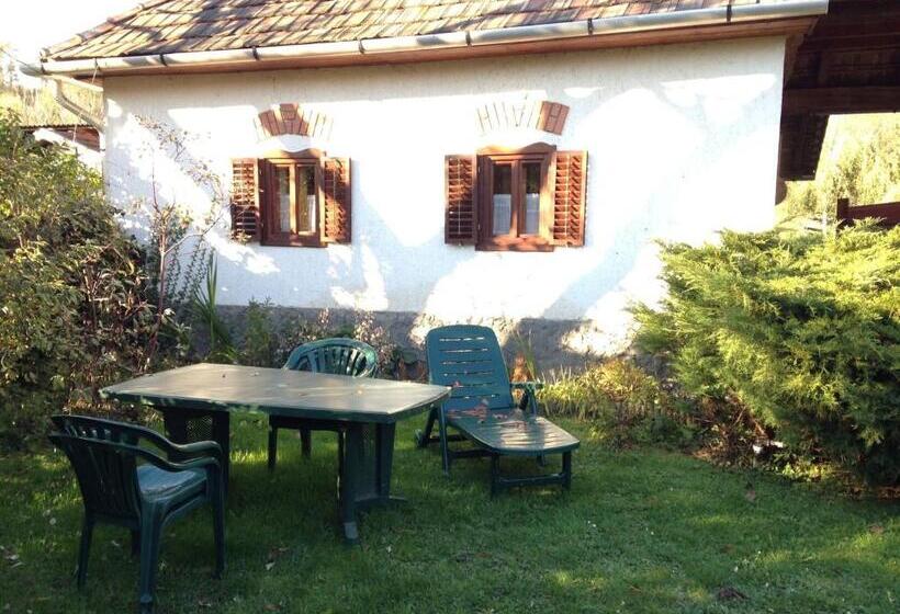 بنسيون ács Kúria