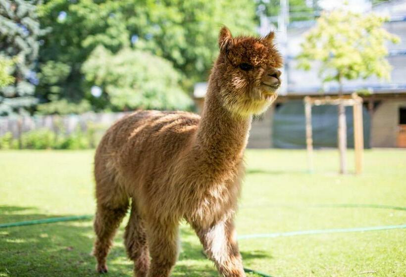 Пансион Gästehaus Am Schloßpark