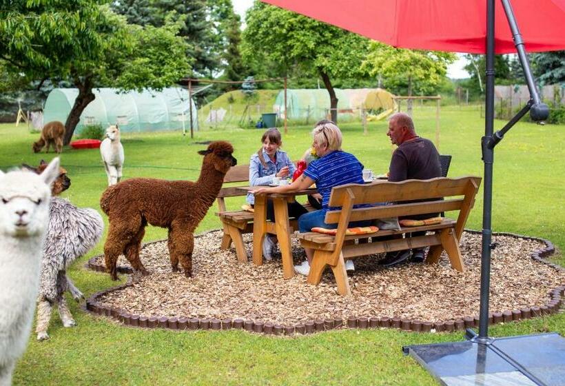 膳宿费 Gästehaus Am Schloßpark