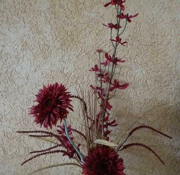 膳宿费 Gästehaus Am Schloßpark