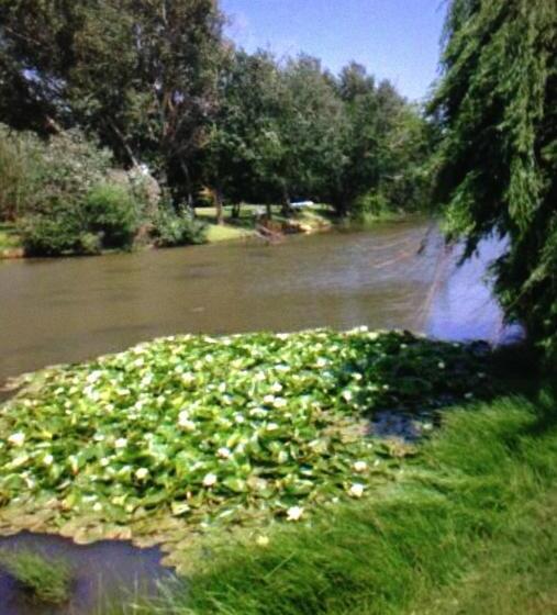 Пансион Ibis Nest