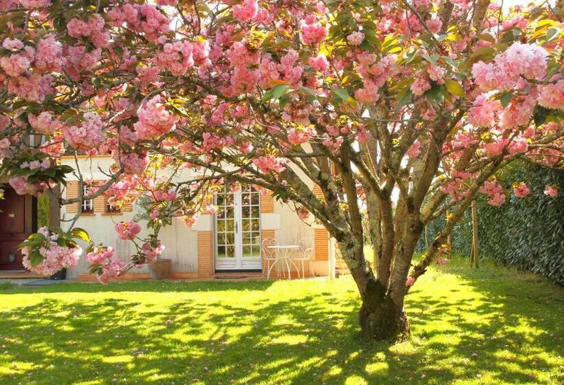 פנסיון Le Mas Des Cerisiers Le Temple Sur Lot