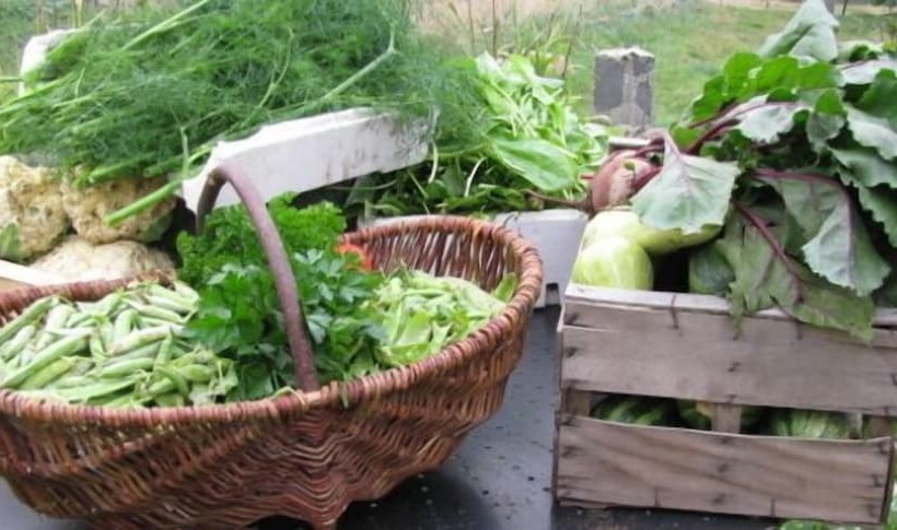 膳宿费 Le Péché De Paresse