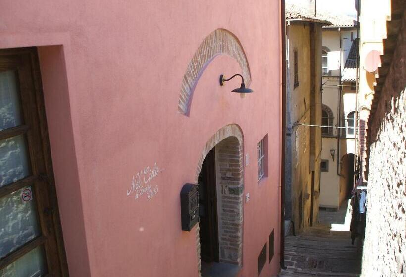 بنسيون Nel Cielo... Di Barga