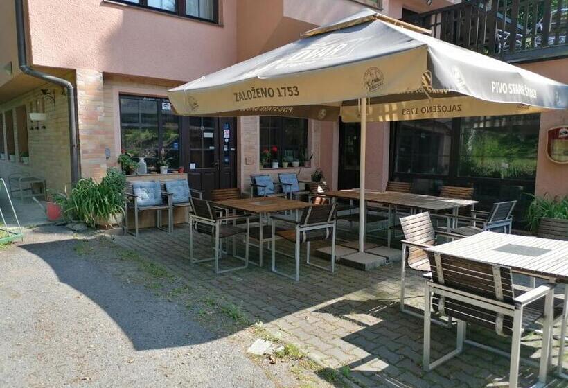 膳宿费 Penzion Janata