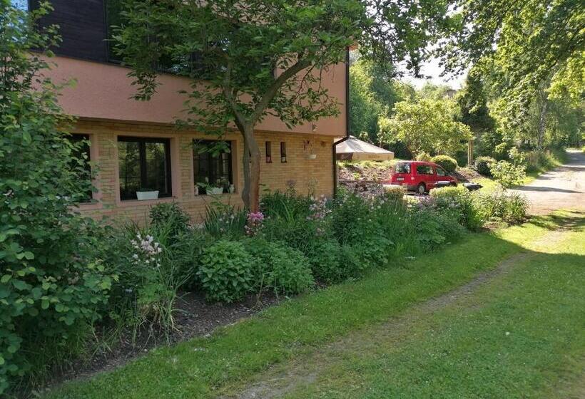 膳宿费 Penzion Janata