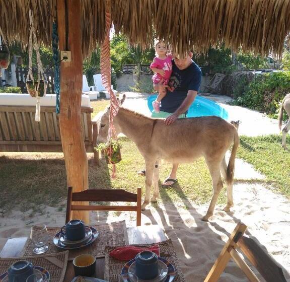 פנסיון Pousada Eolos