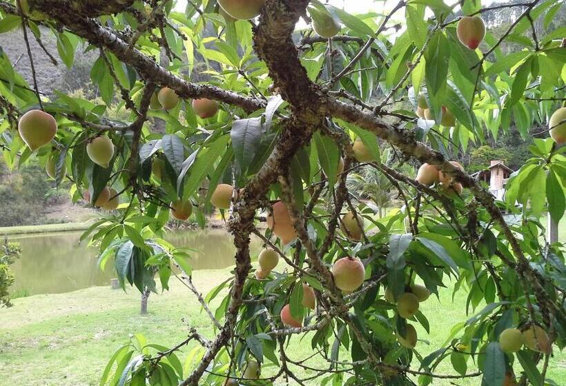 ペンション Pousada Rocamadour