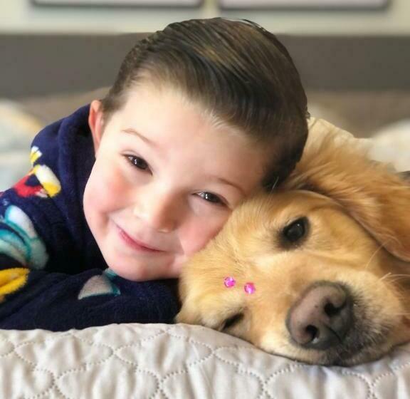 بنسيون Pousada Serra & Jardim