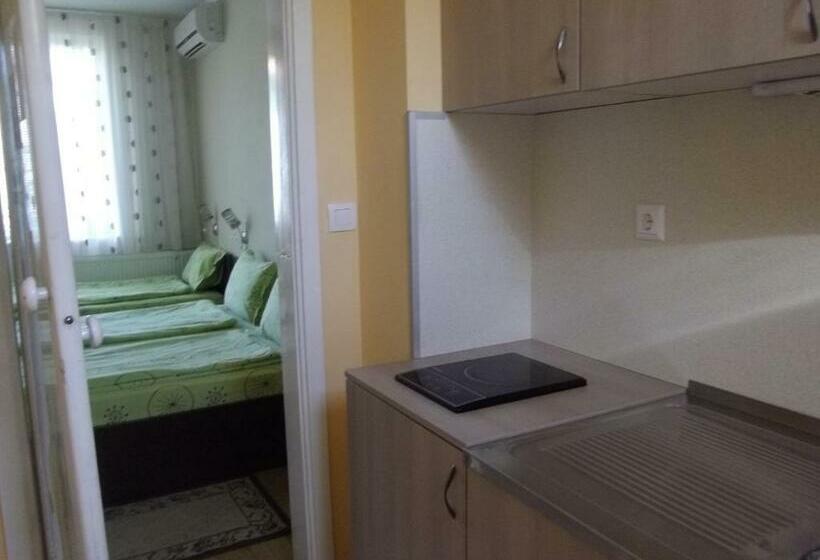 بنسيون Sakutski House