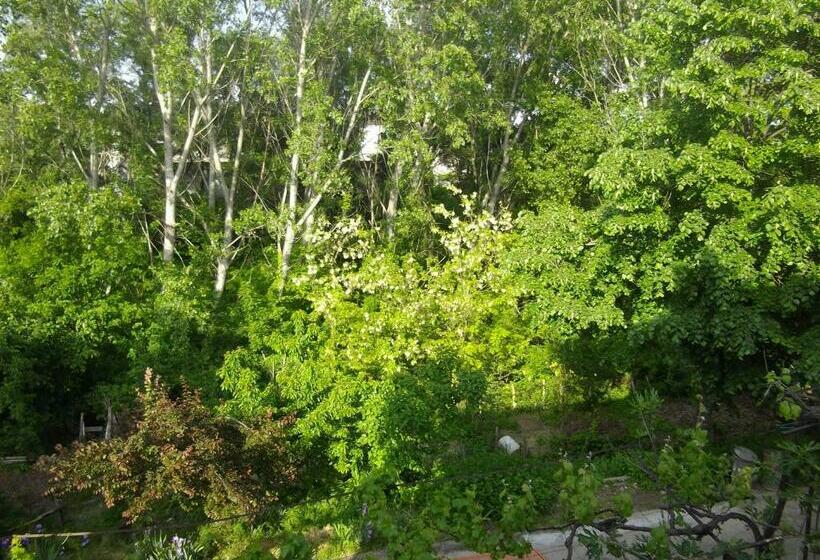 بنسيون Sakutski House