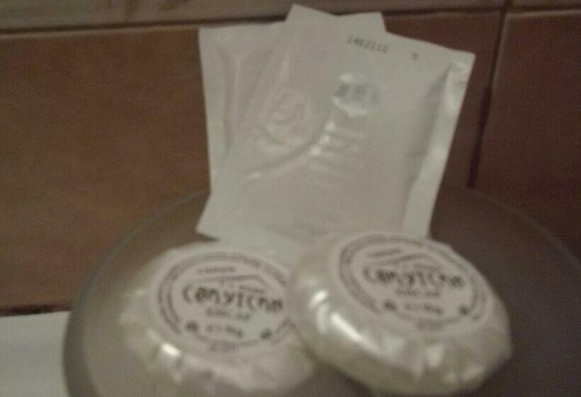 بنسيون Sakutski House