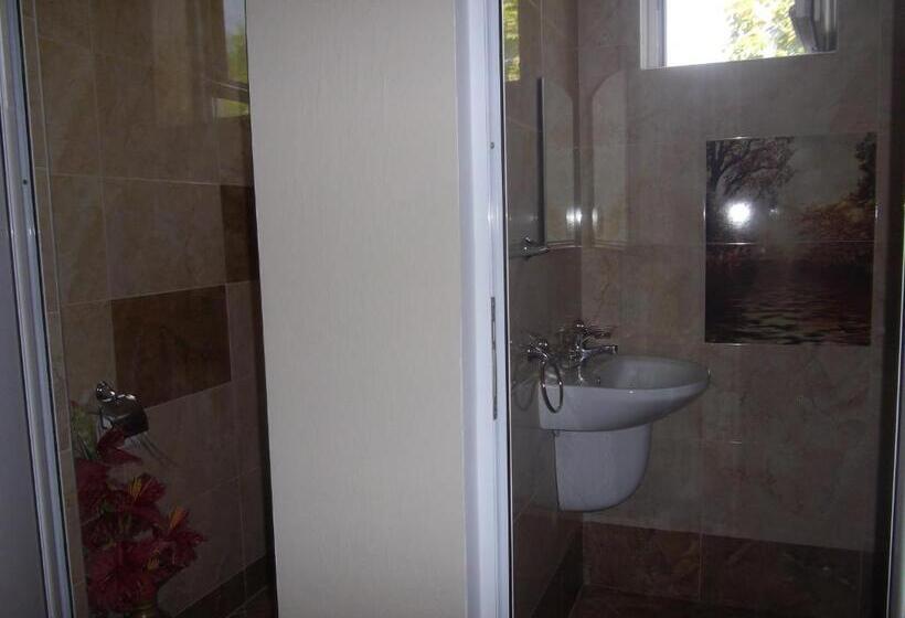 بنسيون Sakutski House