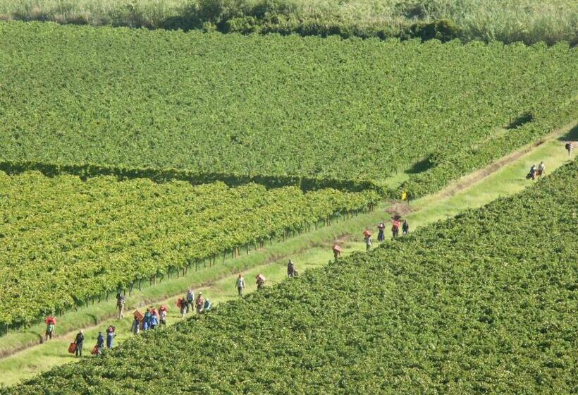 פנסיון The Overlook