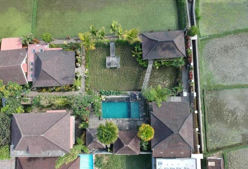 פנסיון Uma Caming Villas & Gym