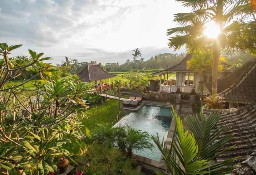 פנסיון Uma Caming Villas & Gym