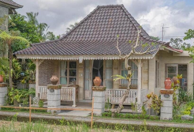 פנסיון Uma Caming Villas & Gym