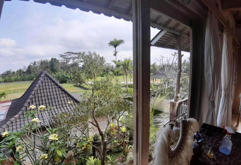 פנסיון Uma Caming Villas & Gym