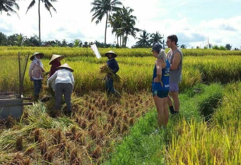 פנסיון Uma Caming Villas & Gym