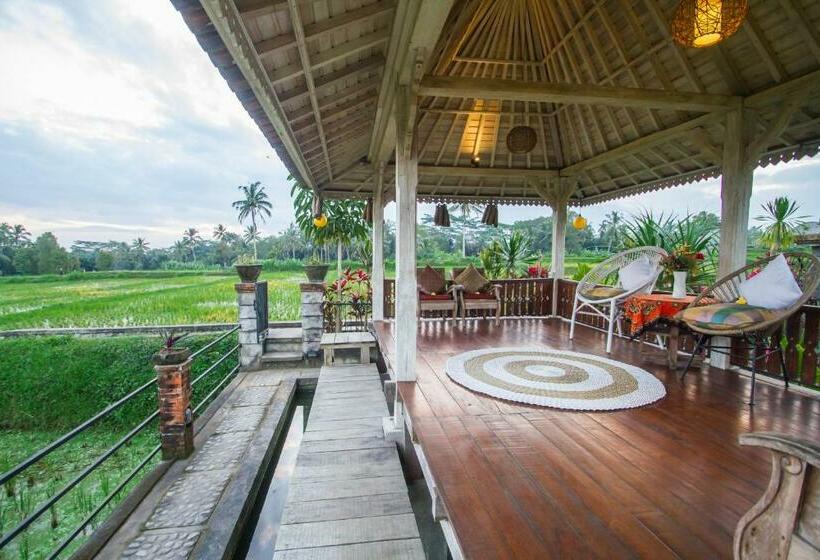 פנסיון Uma Caming Villas & Gym