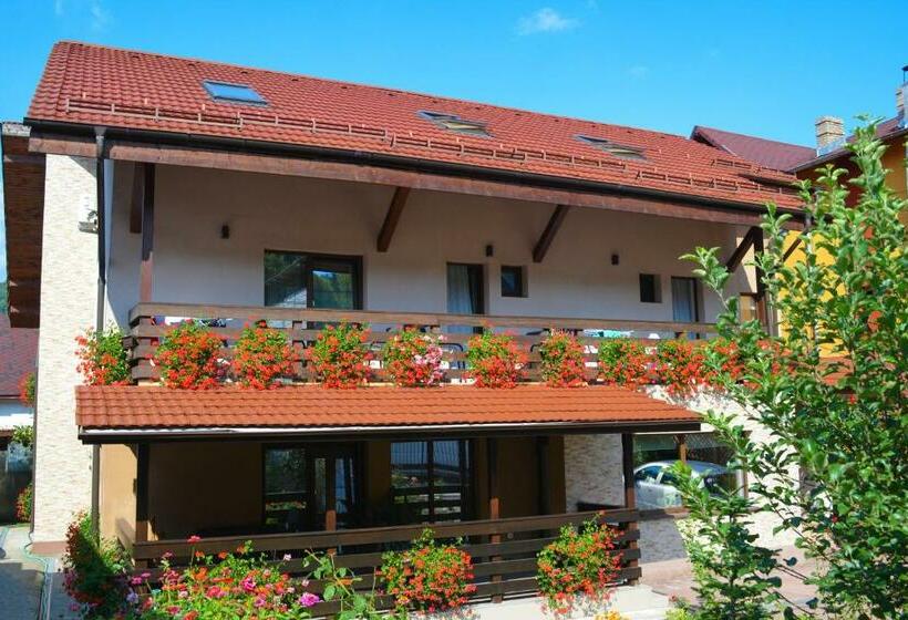 Пансион Vila Andrei