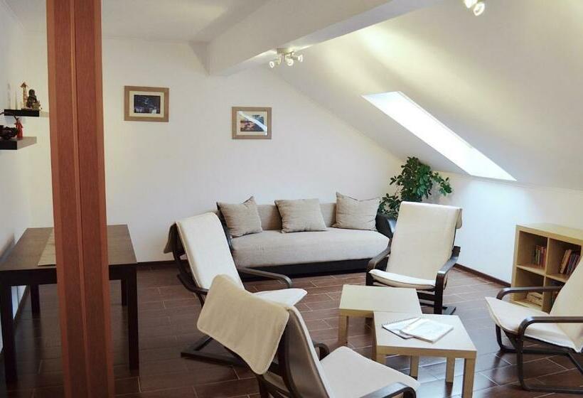 Пансион Vila Andrei