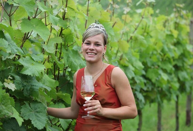 بنسيون Weingut Brennerei Gästehaus Emil Dauns