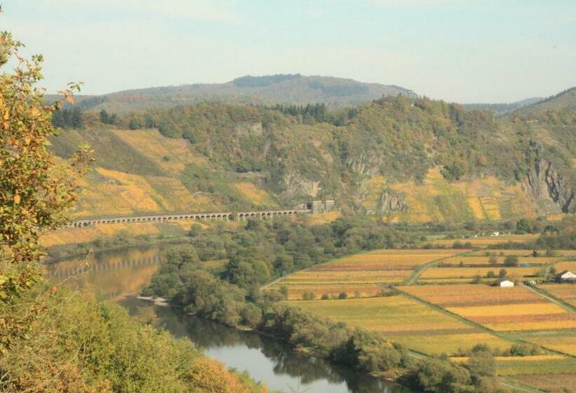 بنسيون Weingut Brennerei Gästehaus Emil Dauns