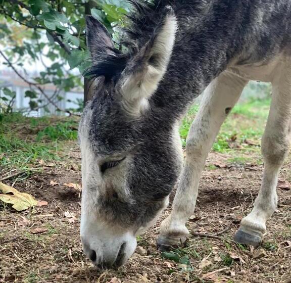 Relais B&b Betty Bike