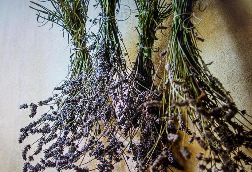 Relais B&b Betty Bike