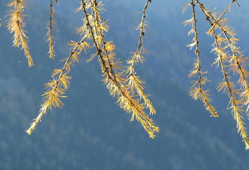 Sportpension Alpenrose