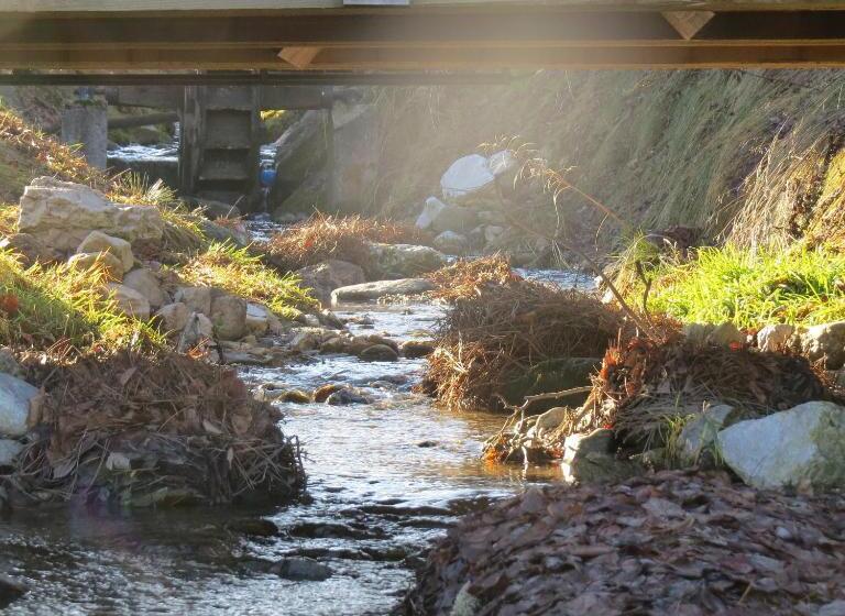 Sportpension Alpenrose