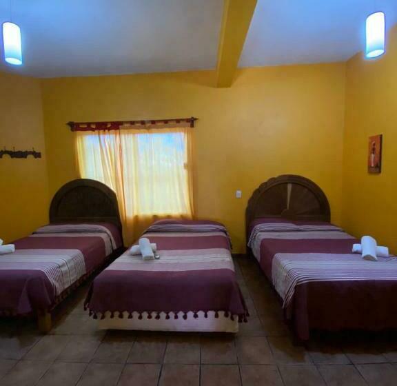 הוסטל Posada La Natividad