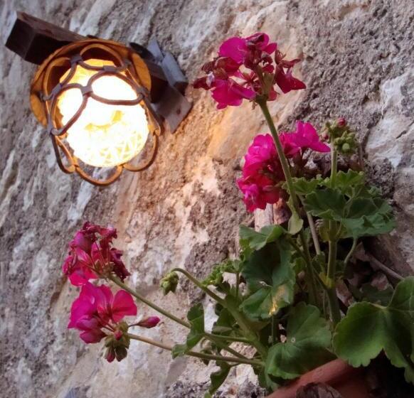 B&b Foresteria Della Certosa