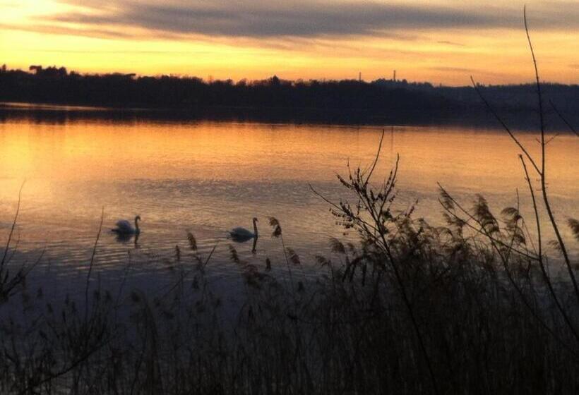 B&b Il Portico Del Conte