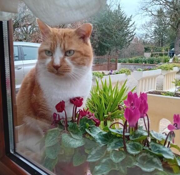 צימר Boscodisotto