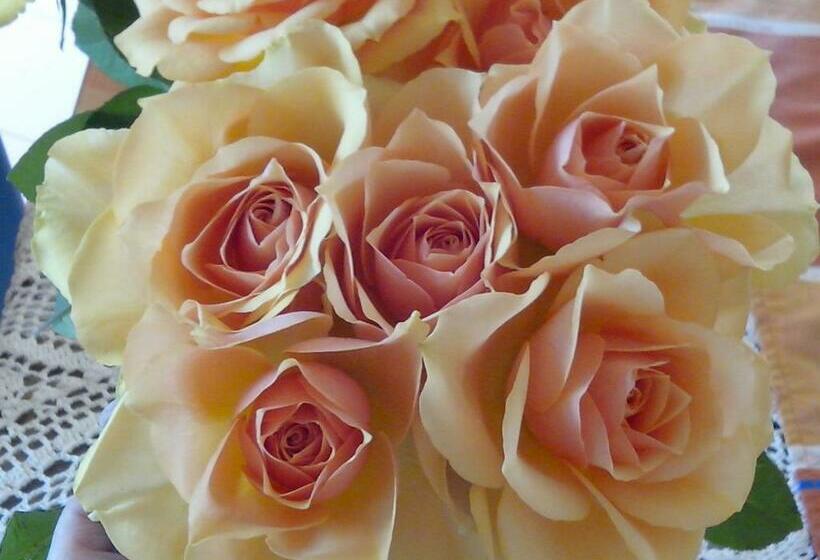 Bed and Breakfast Chambre D Hotes De La Bastide De Najac