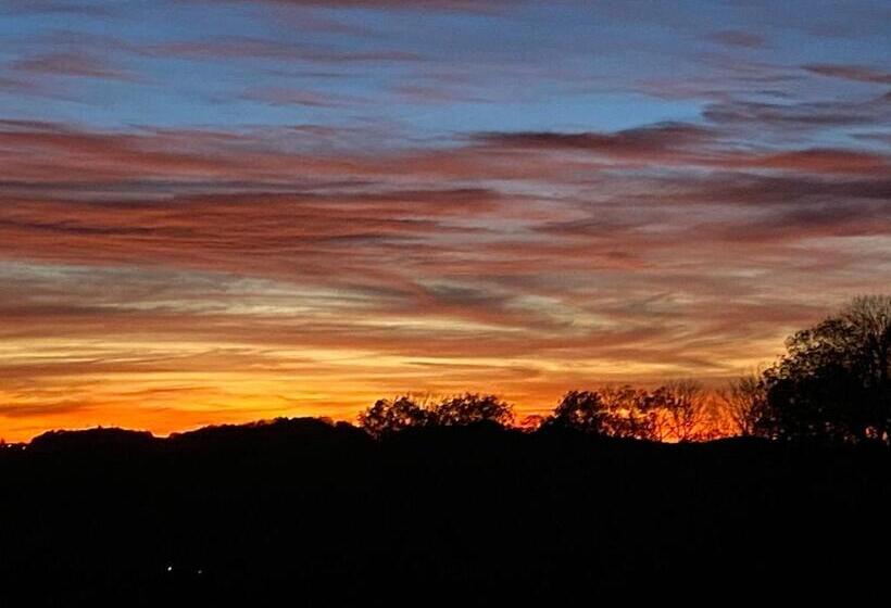 ベッドアンドブレックファースト Château Du Puech