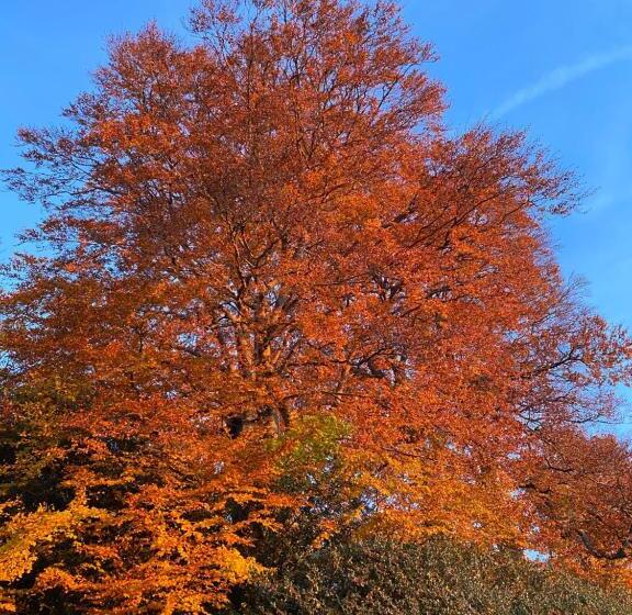 ベッドアンドブレックファースト Château Du Puech