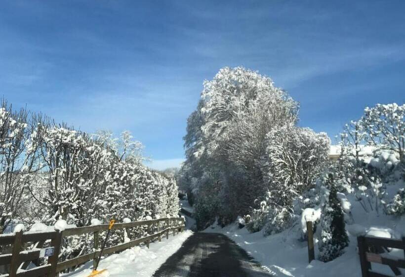 צימר Château Du Puech