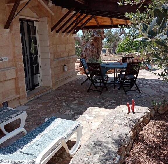 مبيت وإفطار Casa Veneri