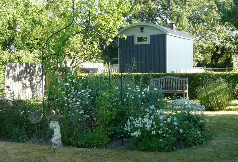 مبيت وإفطار Dolly At Lowlands