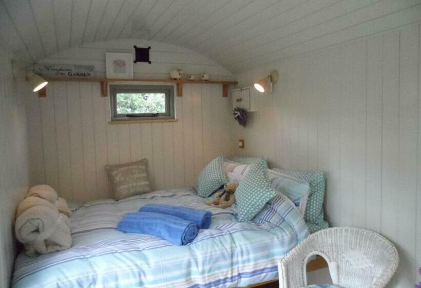 مبيت وإفطار Dolly At Lowlands